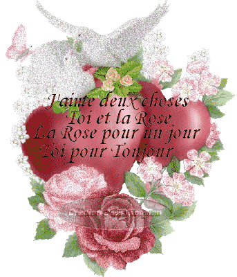 j'aime deux choses toi et la rose la rose pour un jour toi pour toujour